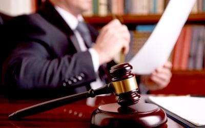 Court rules life partners are spouses for intestate succession