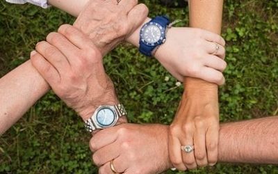 THIS IS A USEFUL ARTICLE ON THE POSITION OF THE “PROFESSIONAL/INDEPENDENT OUTSIDER” TRUSTEE